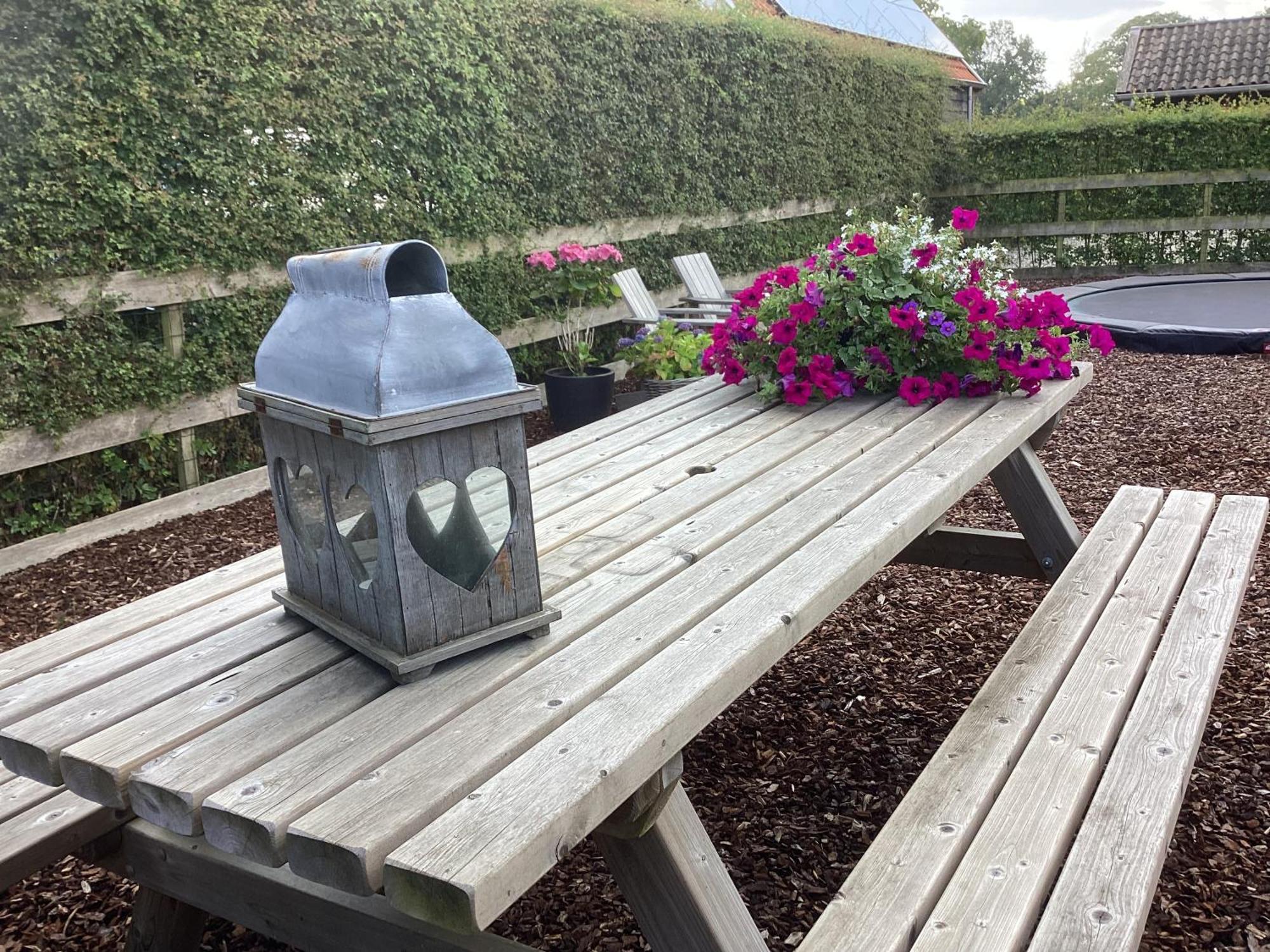 B&B De Meidoornhof Ruinen Esterno foto